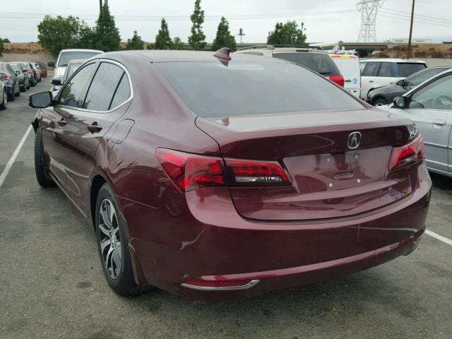 19UUB1F55GA011019 - 2016 ACURA TLX TECH MAROON photo 3