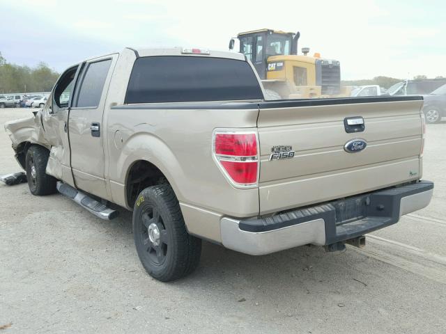 1FTFW1CV1AFD91325 - 2010 FORD F150 SUPER TAN photo 3