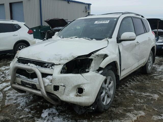 JTMDK4DV4AD015667 - 2010 TOYOTA RAV4 LIMIT WHITE photo 2