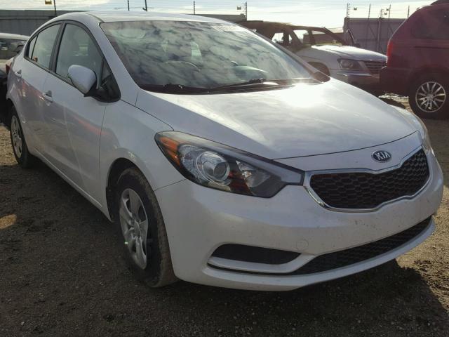 KNAFK4A61E5076834 - 2014 KIA FORTE LX WHITE photo 1