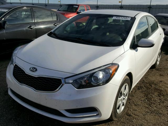 KNAFK4A61E5076834 - 2014 KIA FORTE LX WHITE photo 2