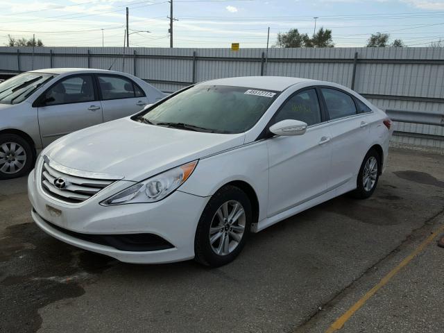 5NPEB4AC4EH894207 - 2014 HYUNDAI SONATA GLS WHITE photo 2