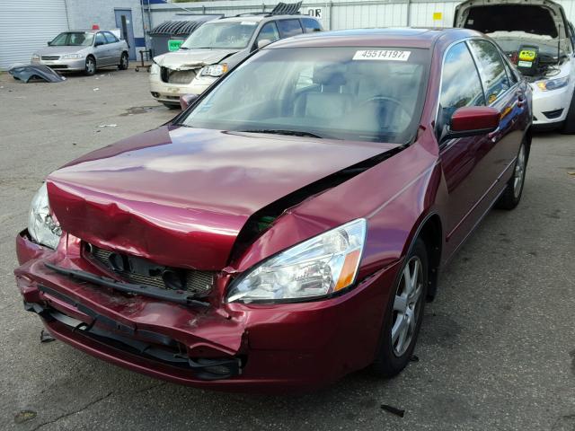 1HGCM665X5A067909 - 2005 HONDA ACCORD RED photo 2