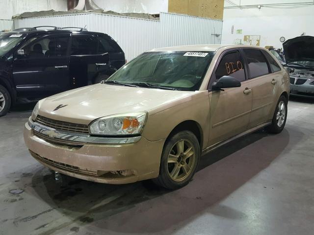 1G1ZT62835F273032 - 2005 CHEVROLET MALIBU MAX GOLD photo 2