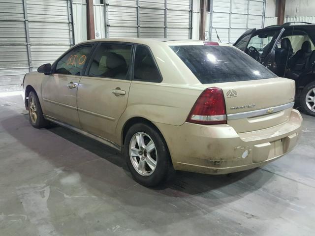 1G1ZT62835F273032 - 2005 CHEVROLET MALIBU MAX GOLD photo 3