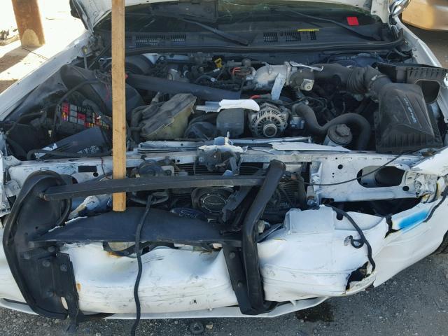 2FAHP71V79X114132 - 2009 FORD CROWN VICT WHITE photo 7