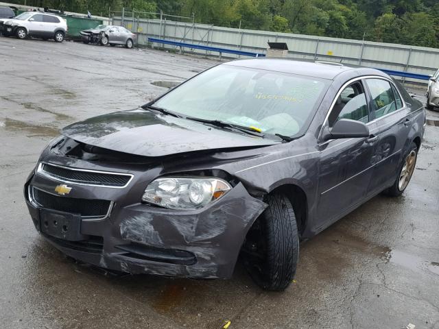1G1ZB5EB6AF235924 - 2010 CHEVROLET MALIBU LS Boz foto 2