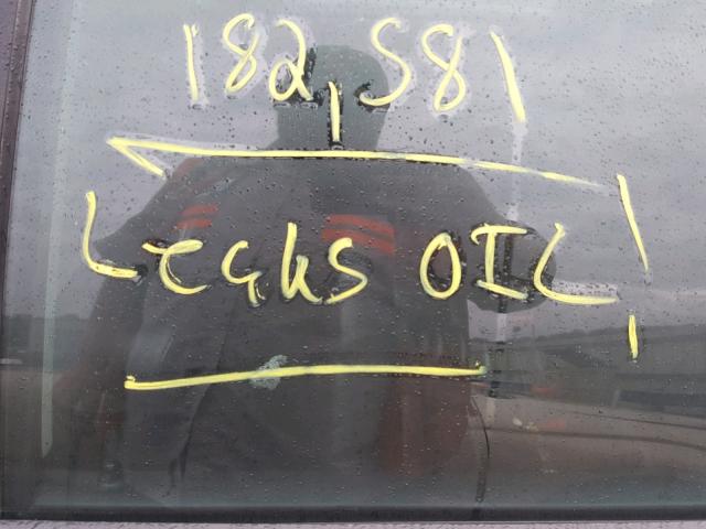 WVWRH63B01P292340 - 2001 VOLKSWAGEN PASSAT GLX TAN photo 9