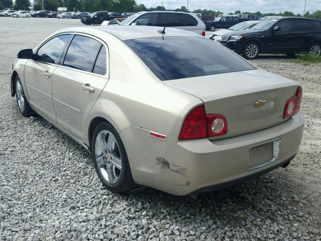 1G1ZJ57799F192817 - 2009 CHEVROLET MALIBU 2LT GOLD photo 3