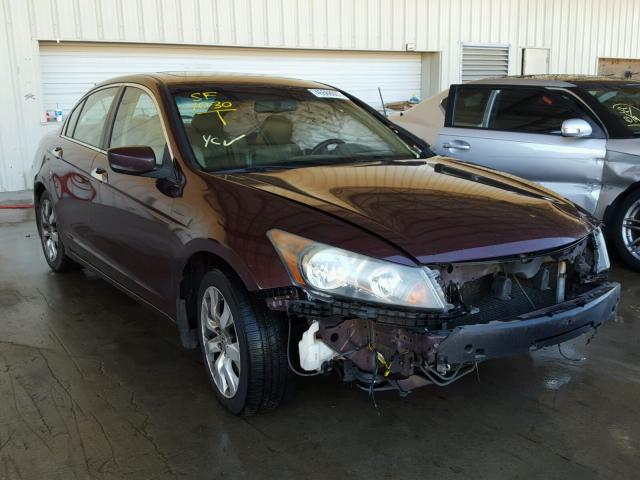 5KBCP3F89AB001904 - 2010 HONDA ACCORD BROWN photo 1