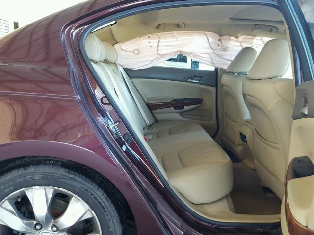 5KBCP3F89AB001904 - 2010 HONDA ACCORD BROWN photo 6