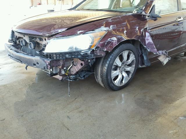 5KBCP3F89AB001904 - 2010 HONDA ACCORD BROWN photo 9