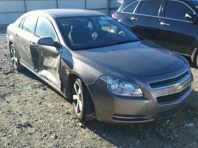 1G1ZC5E14BF305149 - 2011 CHEVROLET MALIBU 1LT 棕色 照片 1