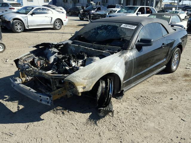 1ZVFT84N555239668 - 2005 FORD MUSTANG BLACK photo 2