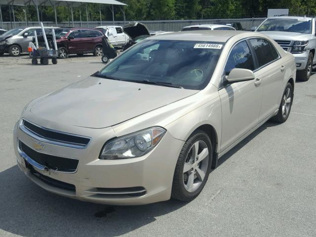 1G1ZC5E16BF122996 - 2011 CHEVROLET MALIBU 1LT GOLD photo 2