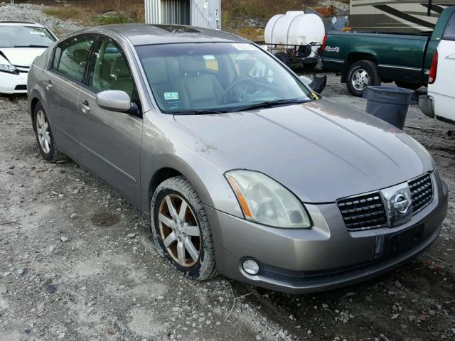 1N4BA41E64C836946 - 2004 NISSAN MAXIMA TAN photo 1