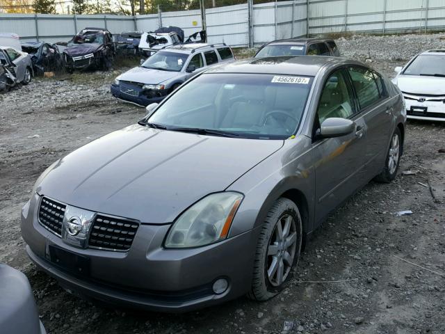 1N4BA41E64C836946 - 2004 NISSAN MAXIMA TAN photo 2