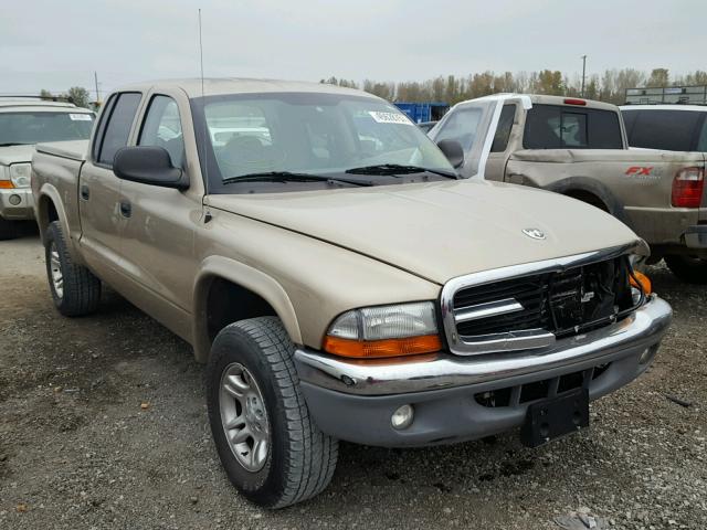 1D7HG48N03S254683 - 2003 DODGE DAKOTA GOLD photo 1