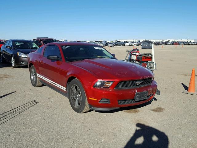 1ZVBP8AM5B5149785 - 2011 FORD MUSTANG RED photo 1