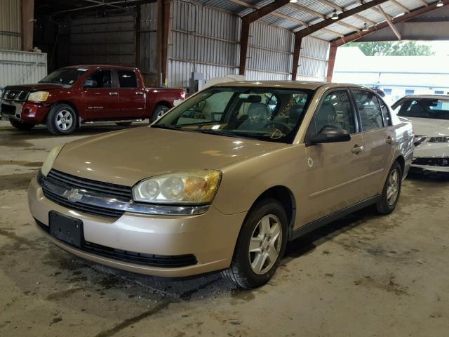 1G1ZT54854F242693 - 2004 CHEVROLET MALIBU LS Qızıl foto 2