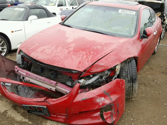 1HGCS2B84BA000930 - 2011 HONDA ACCORD EXL RED photo 2