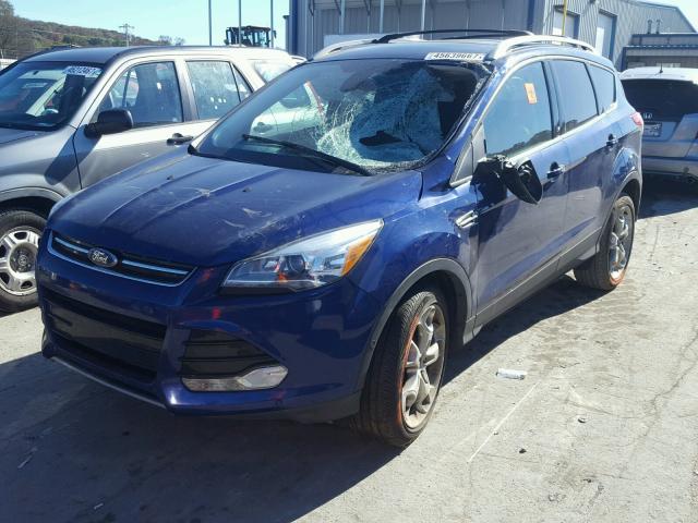 1FMCU0J96DUC41585 - 2013 FORD ESCAPE TIT BLUE photo 2