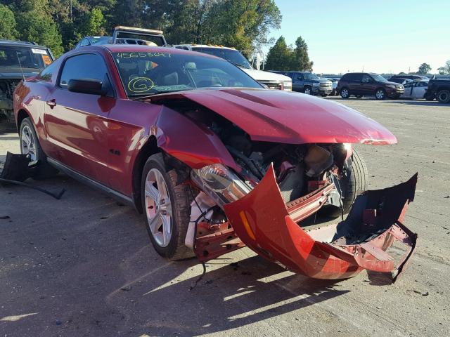 1ZVBP8ANXA5101934 - 2010 FORD MUSTANG RED photo 1