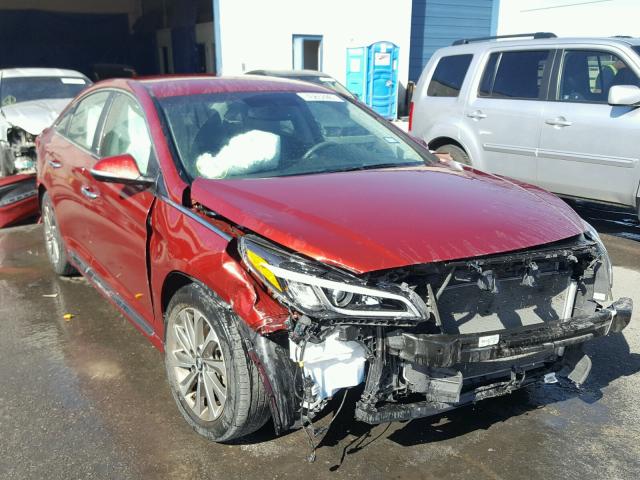 5NPE34AF2FH214250 - 2015 HYUNDAI SONATA SPO RED photo 1