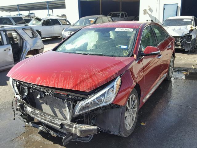 5NPE34AF2FH214250 - 2015 HYUNDAI SONATA SPO RED photo 2