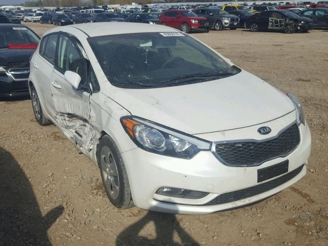 KNAFK5A81G5623126 - 2016 KIA FORTE LX WHITE photo 1