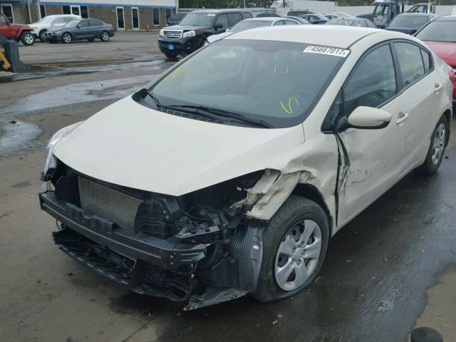 KNAFK4A66E5147350 - 2014 KIA FORTE LX WHITE photo 2