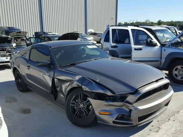 1ZVBP8AM1E5325381 - 2014 FORD MUSTANG GRAY photo 1