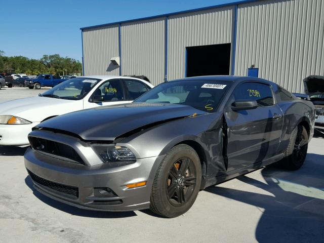 1ZVBP8AM1E5325381 - 2014 FORD MUSTANG GRAY photo 2