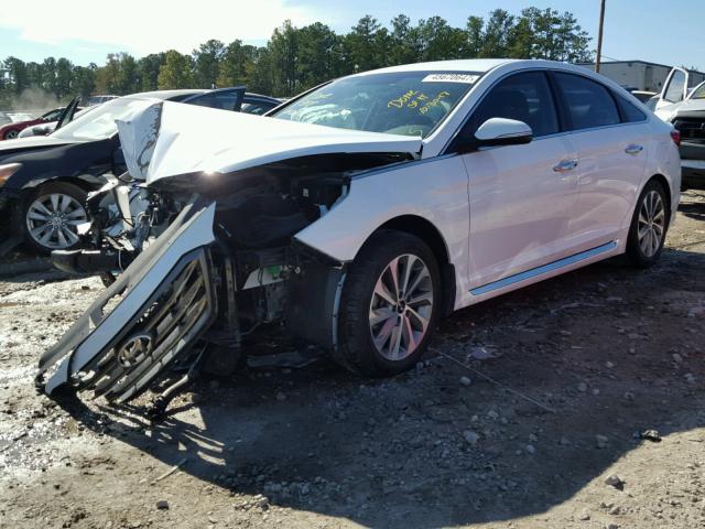 5NPE34AF7FH086491 - 2015 HYUNDAI SONATA SPO WHITE photo 2