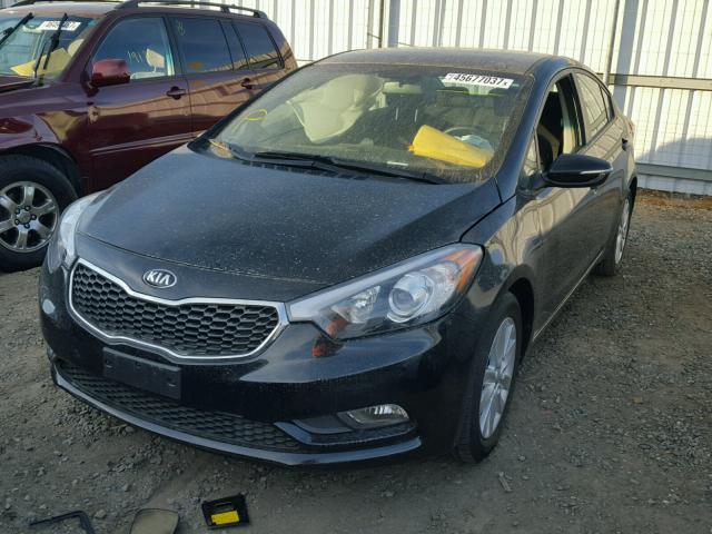 KNAFX4A64G5455718 - 2016 KIA FORTE LX BLACK photo 2