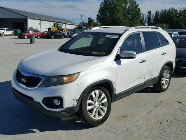 5XYKT4A2XBG134227 - 2011 KIA SORENTO BA WHITE photo 2