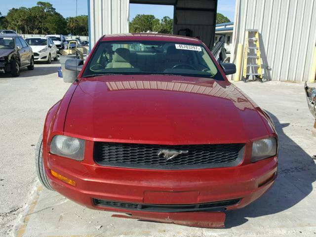 1ZVHT80N185128148 - 2008 FORD MUSTANG RED photo 9
