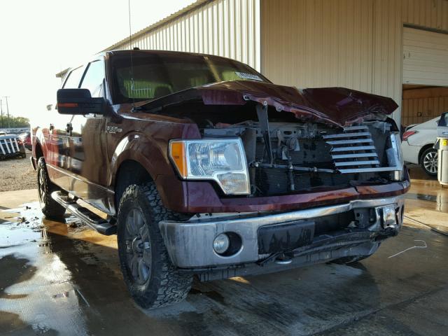 1FTEW1E88AFD11389 - 2010 FORD F150 SUPER MAROON photo 1