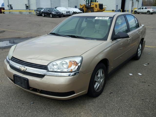 1G1ZT54855F240282 - 2005 CHEVROLET MALIBU GOLD photo 2