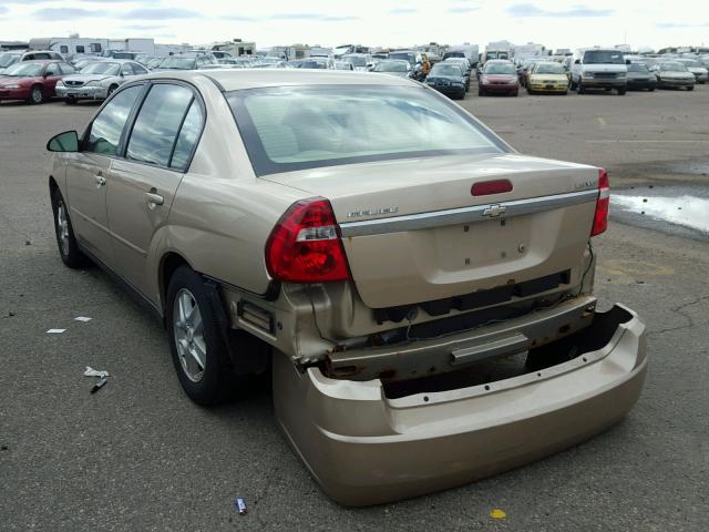 1G1ZT54855F240282 - 2005 CHEVROLET MALIBU GOLD photo 3