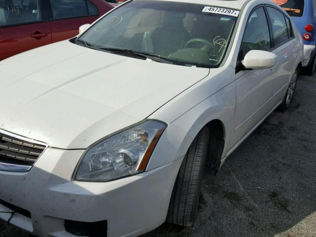 1N4BA41E58C815236 - 2008 NISSAN MAXIMA WHITE photo 2