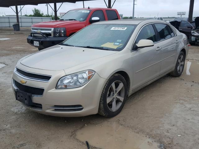1G1ZC5EUXBF368914 - 2011 CHEVROLET MALIBU 1LT GOLD photo 2