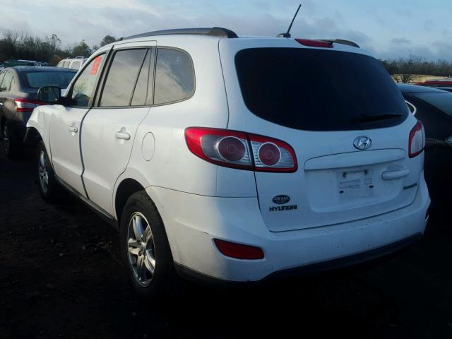 5XYZG4AG5BG018545 - 2011 HYUNDAI SANTA FE G WHITE photo 3