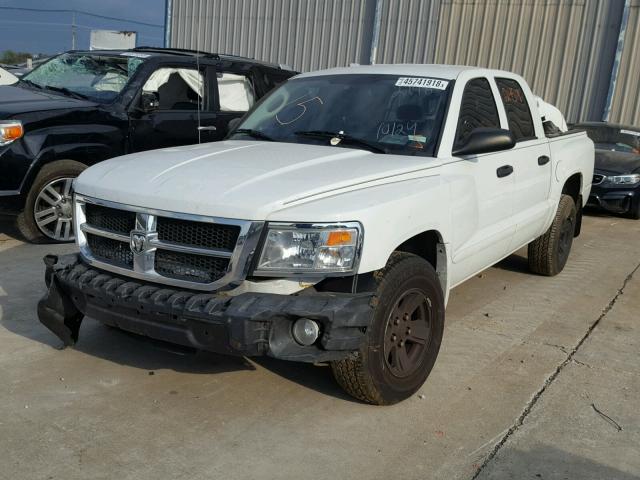 1D7HW48N38S512298 - 2008 DODGE DAKOTA QUA WHITE photo 2