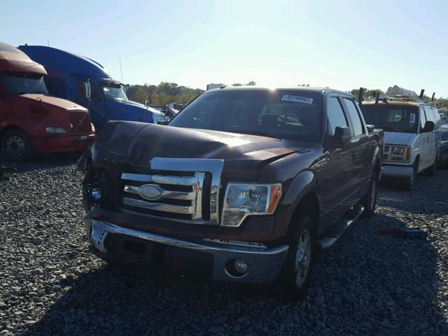 1FTRW12889FA37869 - 2009 FORD F150 BURGUNDY photo 2