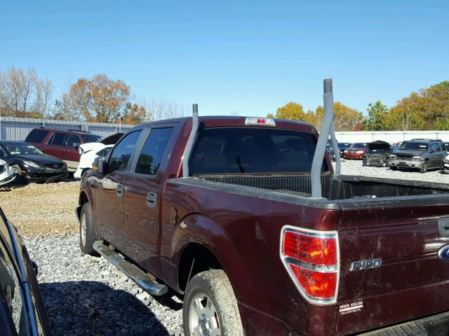 1FTRW12889FA37869 - 2009 FORD F150 BURGUNDY photo 3