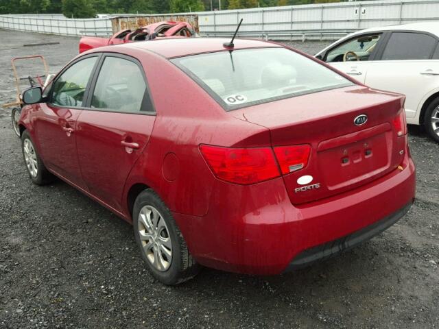 KNAFU4A26A5241598 - 2010 KIA FORTE EX RED photo 3