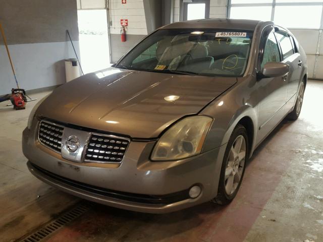 1N4BA41E86C811744 - 2006 NISSAN MAXIMA GRAY photo 2