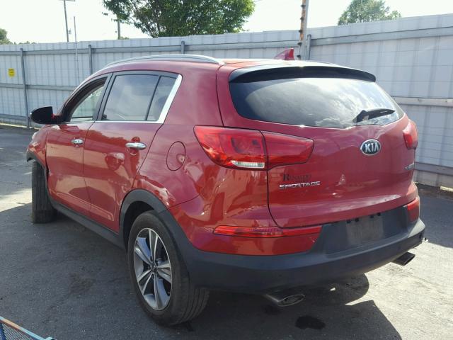 KNDPCCA63E7618468 - 2014 KIA SPORTAGE S RED photo 3