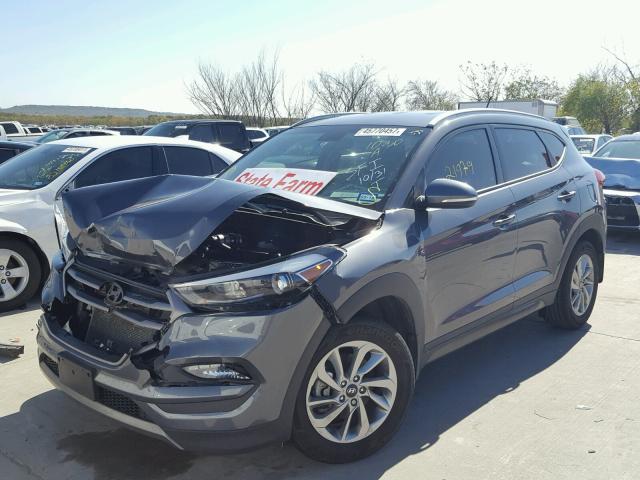 KM8J33A27GU160713 - 2016 HYUNDAI TUCSON LIM BLUE photo 2